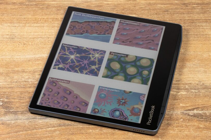 Abbildung eines PocketBook Era Color auf dem farbige Bilder abgebildet sind